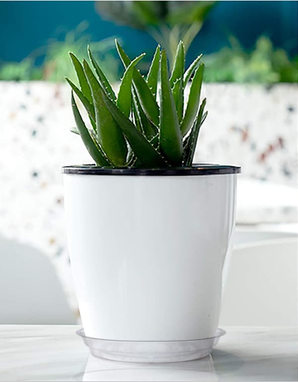 Gennemsigtige underskåle til urtepotter, velegnet til indendørs og udendørs planter, 10 stk. pr. pakke, 25 cm.