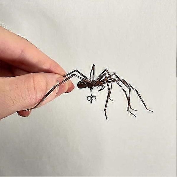 Jättespindelörhängen för män