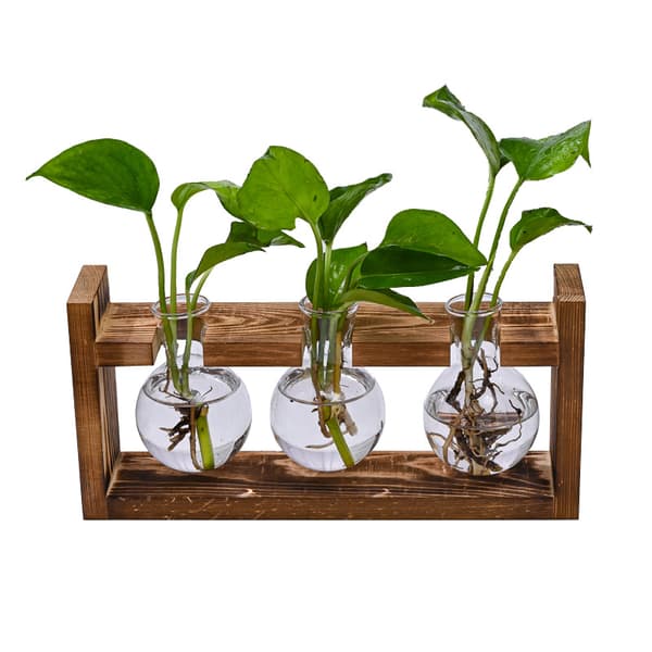 Hydroponisk glasvasuppsättning med träram - 3-håls Pothos-planterare