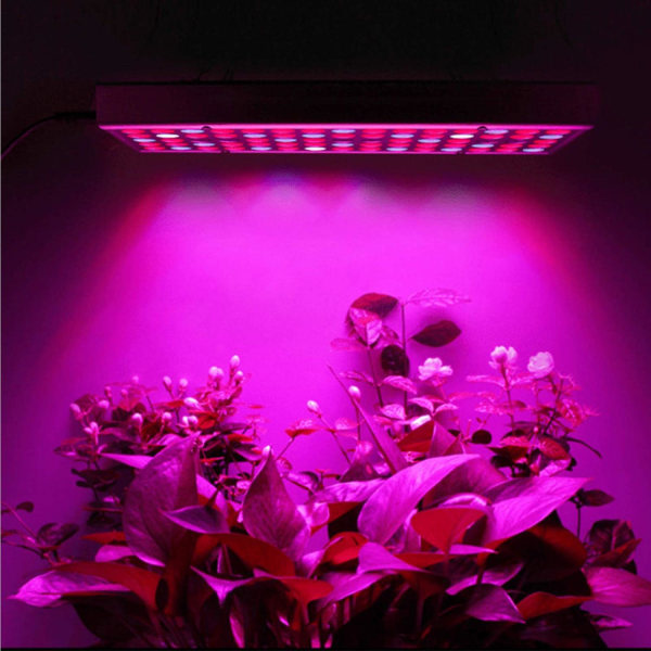Växtlampa Panel med 225 LED-lampor eller Rosa
