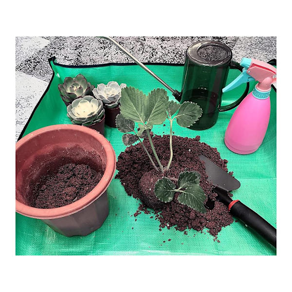 Store plantematter - for omplanting av blomster 162
