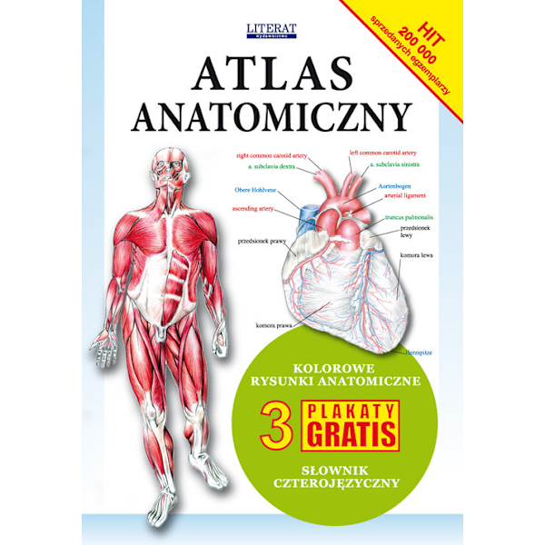 Anatomisk Atlas Fördjupad Kroppsstruktur och Funktion