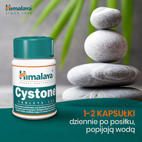 Himalaya Cystone 100 tabletter - Naturmedicin för njur- och urin