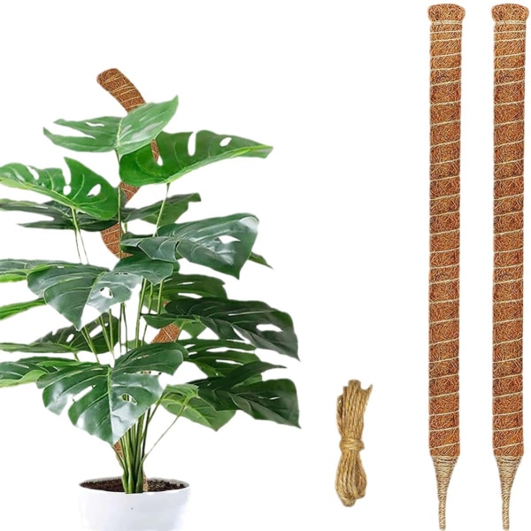 2st Monstera mosstång för inomhusväxter, böjbar planthållare
