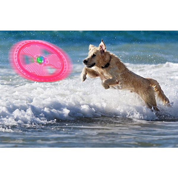 Träningsleksaker för frisbeehund med blinkande LED-lampor, lysa upp husdjursskivor för ultimat nattlek, rosa
