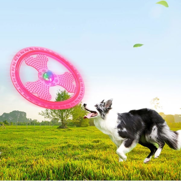 Träningsleksaker för frisbeehund med blinkande LED-lampor, lysa upp husdjursskivor för ultimat nattlek, rosa