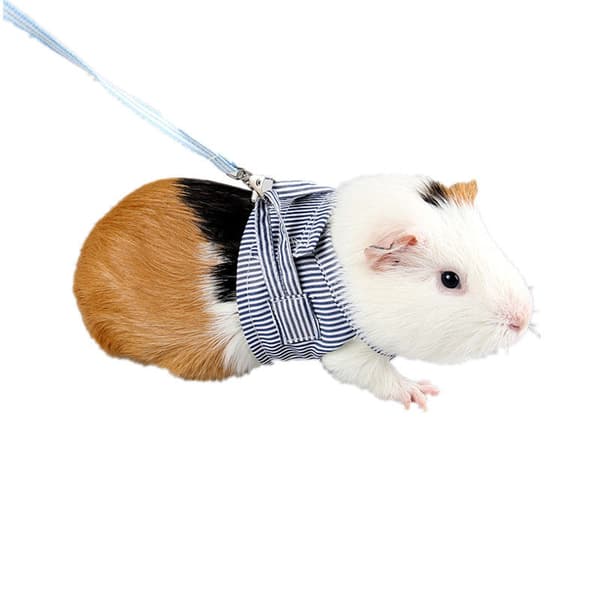 2 stycken Hamstertransportkoppel blå rosa Hamstertransportkoppel justerbart med klockdetektor.
