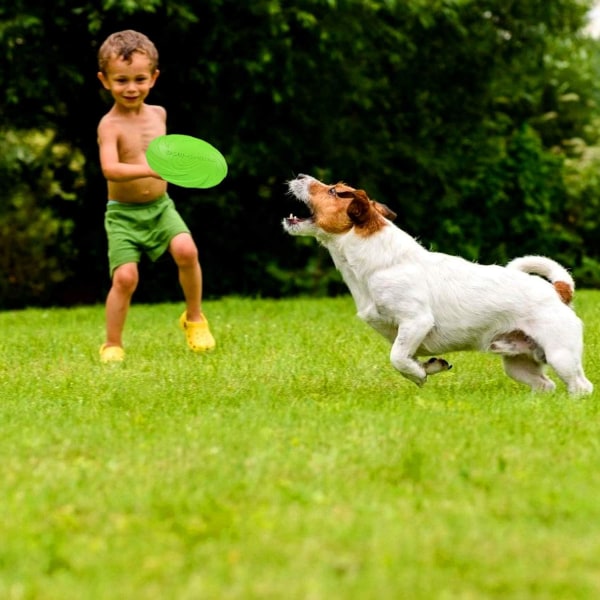 Koiran frisbee, frisbee koiralle, 1 frisbee-lelu koiralle, käytetään peleihin, urheiluun