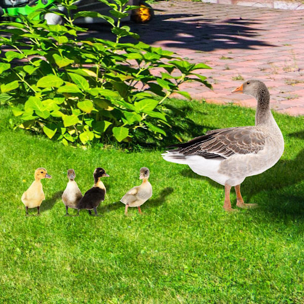 ##/3D Akryl Andeforet Plade til##/
