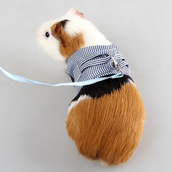 2 stycken Hamstertransportkoppel blå rosa Hamstertransportkoppel justerbart med klockdetektor.