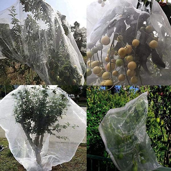 Fruktträdnät (1,2 x 1,8 m/0,8 mm Maskstorlek), Insektskydd