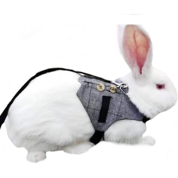 ##/2 Justerbart Kaninsele Koppelset för Smådjur Kaniner Hamstrar Katter (Grå M)##/