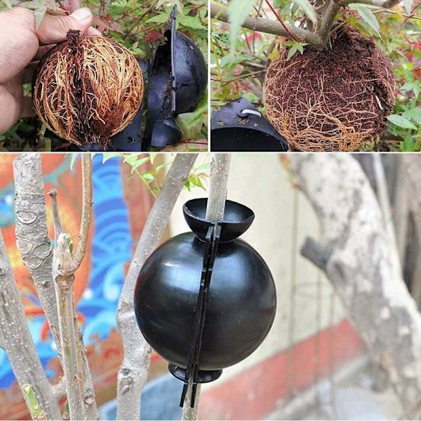 ##/4 st Plantgraferingslåda - Liten, Plantrotningsenhet, Hög Tryck##/