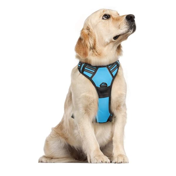 ##/Hundesele uten trekk, polstret, justerbar for store hunder##/