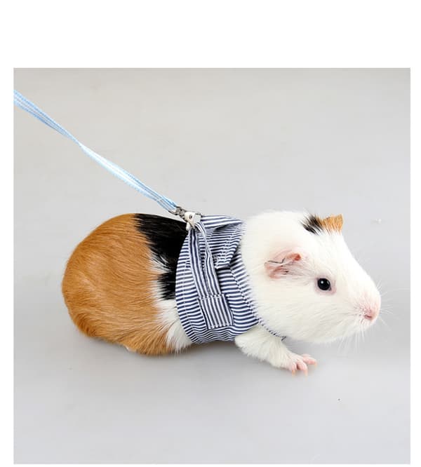 2 stycken Hamstertransportkoppel blå rosa Hamstertransportkoppel justerbart med klockdetektor.