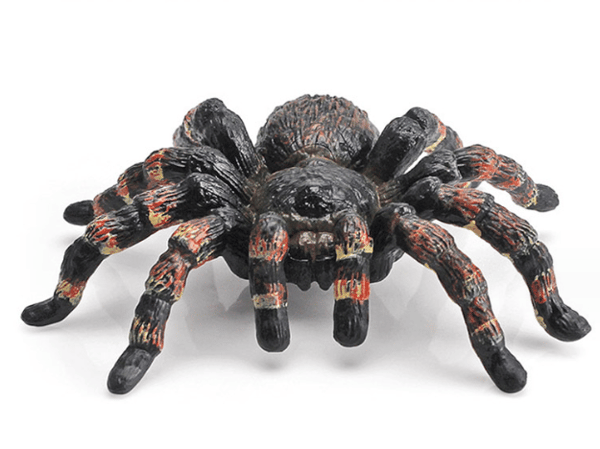 Edderkop Tarantula Figur Insect Model Halloween Legetøj