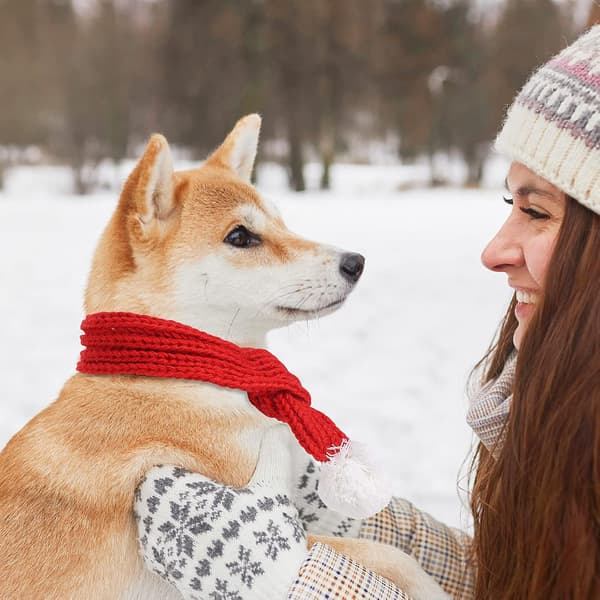 Julhalsduk för husdjur - S, Röd Stickad Vinterkrage Hundhalsduk med W