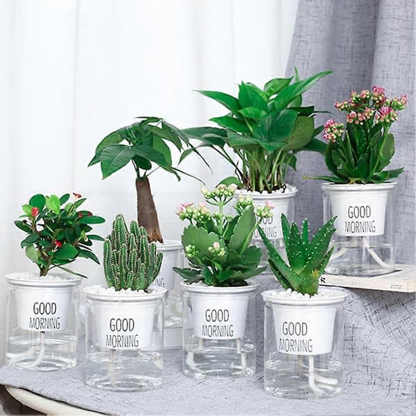 2 Set Dubbel Nivå Hydroponisk Epipremnum Aureum Självbevattnande Blomkruka Heminredning Flat Bottom
