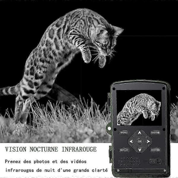 Jaktkamera HD 2.0\" LCD-skärm Trail Camera Mörkerseende Vattentät Djur Infraröd Kamera Utomhus