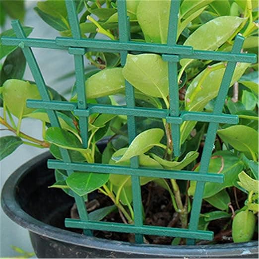 Plante Støtte Vine Klatring Pergola Stilk Fast Støtte Pottet Su