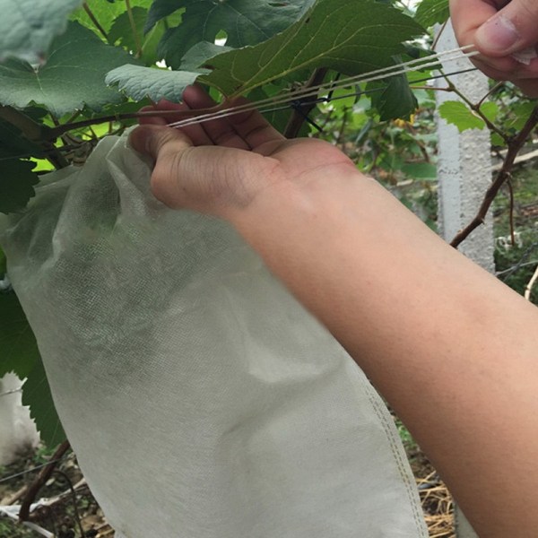 100 Fruktskyddspåsar Nätpåsar Skydd av druvklasar Ag