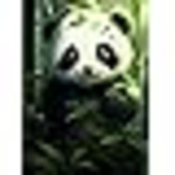 5D diamantmålningskit (30*40cm), söt panda