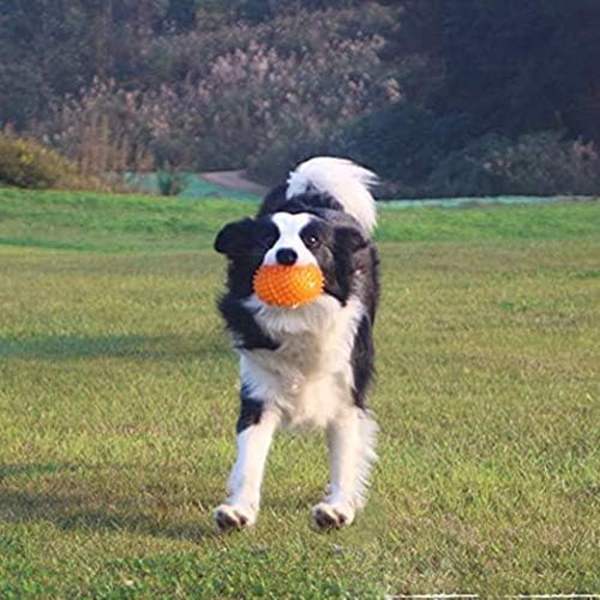 2 stycken Blå Boll Hög Elastisk Hund Tuggleksaker Husdjur Gummi Hundleksaker