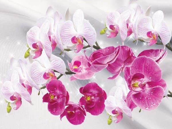 ##/30x40cm DIY Diamantmålning Kit för Vuxna och Barn - Phalaenopsis##/