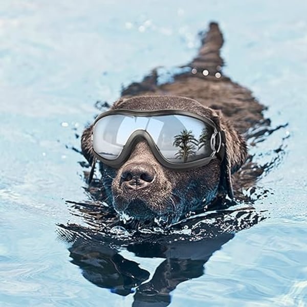 Dog Goggles Netive Pet Solbriller Vanntett vindtett øyebeskyttelse