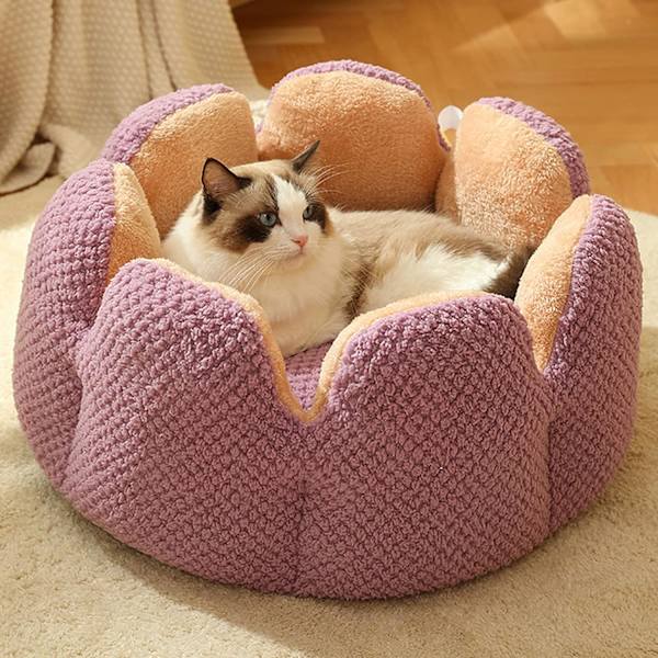 1-delat Set (Lila, S) Kattbädd, Hundbädd, Tvättad Kattbädd, Kaktus
