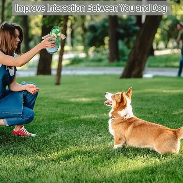 Hunde Tyggeleke (Sko) - Grønn - Interaktiv Hundesleke - Pipende Hund