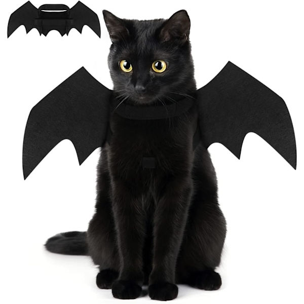 Halloween-kostym för hund och katt, kattkostym Halloween hundkostym hall