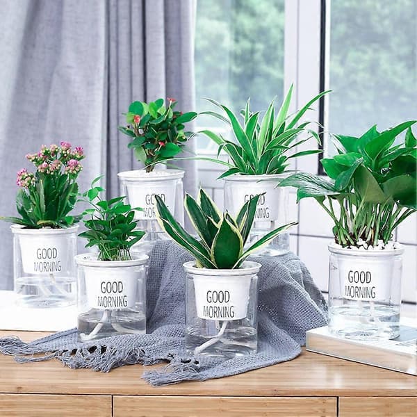2 Sett Dobbel Hydroponisk Epipremnum Aureum Selvvannende Blomsterpotte Hjemmeinnredning Flat Bottom