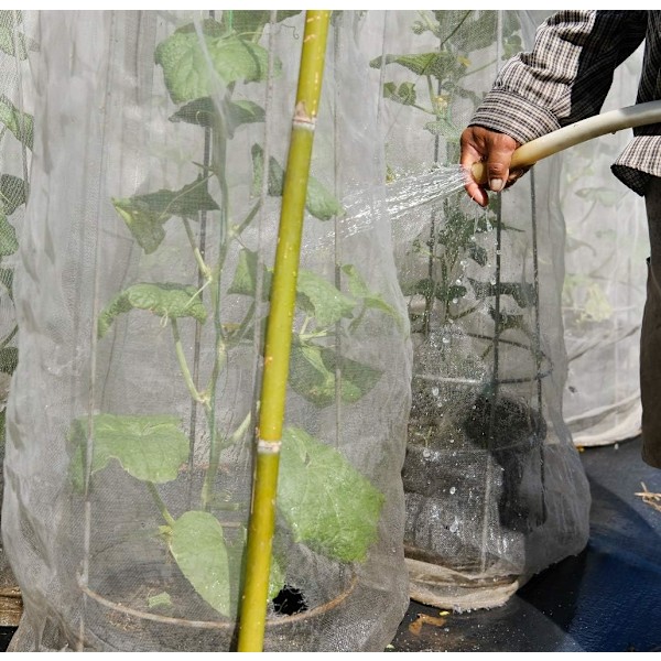 Have Net til Insekter i Haven: 3 x 10 m Fint Masket Beskyttelse til Porrer