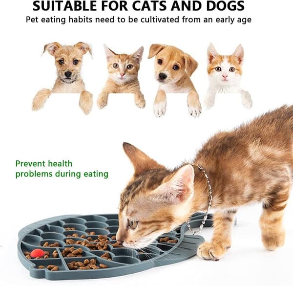 Långsam Matskål, Anti-Glutton Katt Skål, 1 Stycke Anti-Glutton
