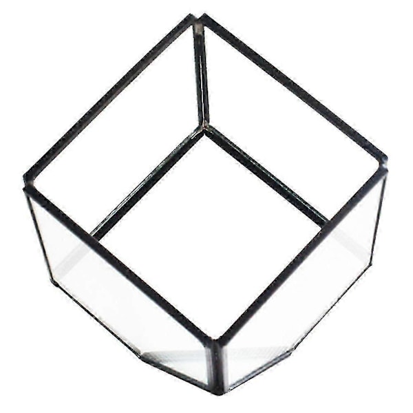 Geometriske Kuber Glas Terrarium Boligindretning Plante Fyldig Blomsterholder Vase Potte Qinhai