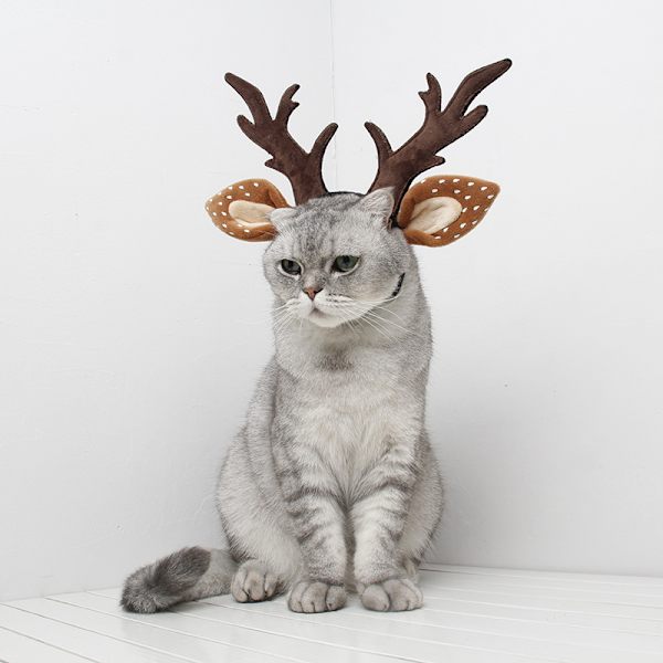 ##/S, Jultomte-Huvudband för Husdjur##/