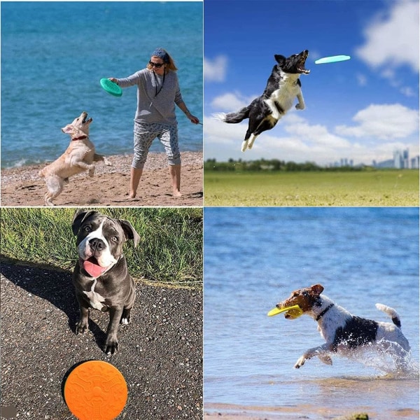 Frisbee-koiranlelu, 2 kiekkoa koiranlelu, koiran frisbee, koiranlelu frisbee, käytetty