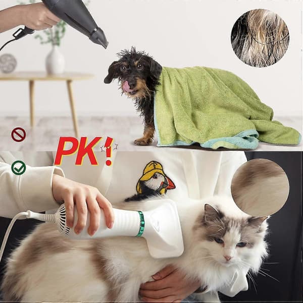 Hårtork för husdjur 2 i 1, borste och kam för pälsvård av katter och hundar