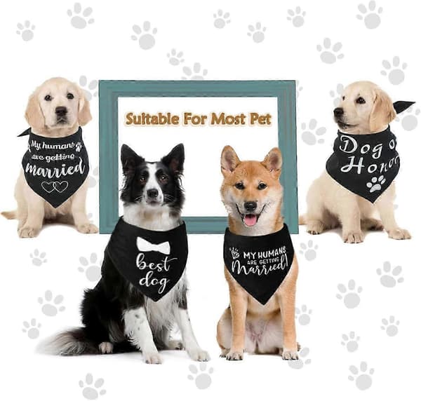 Hundebryllupsbandana for nyforlovede par, påskefotorekvisitt