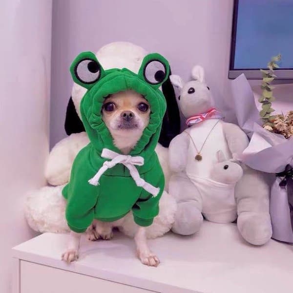 ##/M Pet Paradise Hundjacka Hundpyjamas Medelstorlek##/