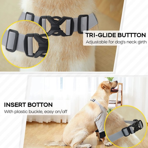 Hundeoperasjonsermhull for forben, beskyttelse for hundens forben