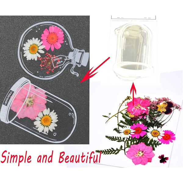 30 st Transparenta Torkade Blombokstäcken, Blombokstäcketillverkare