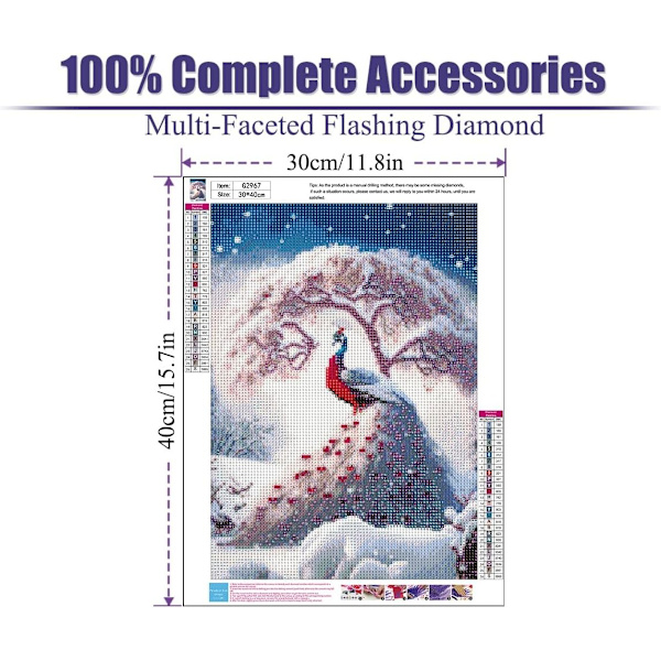 ##/DIY Timanttimaalaussetti, 12x16 tuumaa, Peacock lumessa##/
