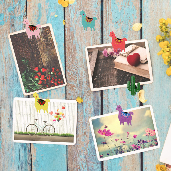 /#/Cuticle sticks pushpin poster 20 stykker/#/