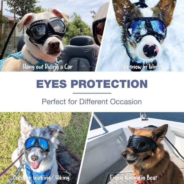 Hundebriller Øjenbeskyttelse Justerbare stropper Let at sætte på Anti