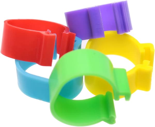 16mm Kyckling ID-band 100 st 16mm slumpmässiga färger Plastfjäderfä Chi