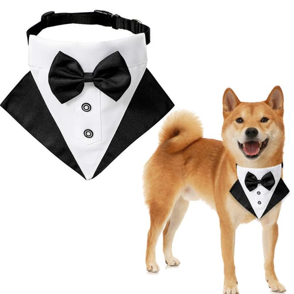 2 Formella Bröllopsfest Hund Bröllopshandduk