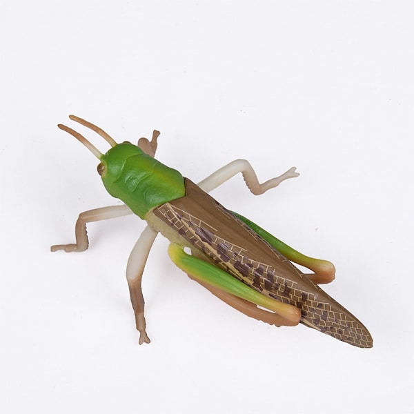 ##/3-pack Realistiska Insekter - Biologiska Vetenskapsleksaker för Barn - Realistiska Gummimodeller av Insekter##/