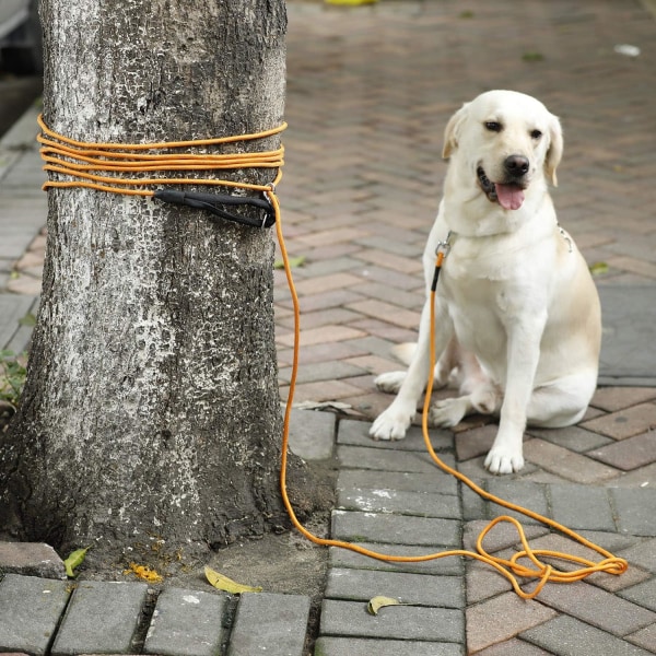 Reflekterande Röd Hundträningsspö 0,8 cm Bredd Lång 10 m Hundlina